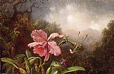 Martin Johnson Heade Two Hummingbirds by an Orchid painting